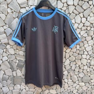 Remera descanso AFA 2024/25
